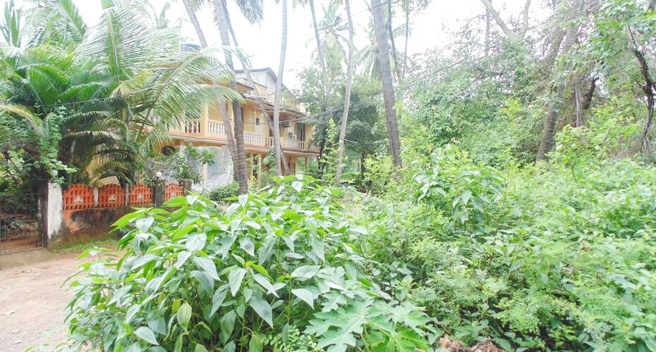 Maya Holiday Home, Goa 3